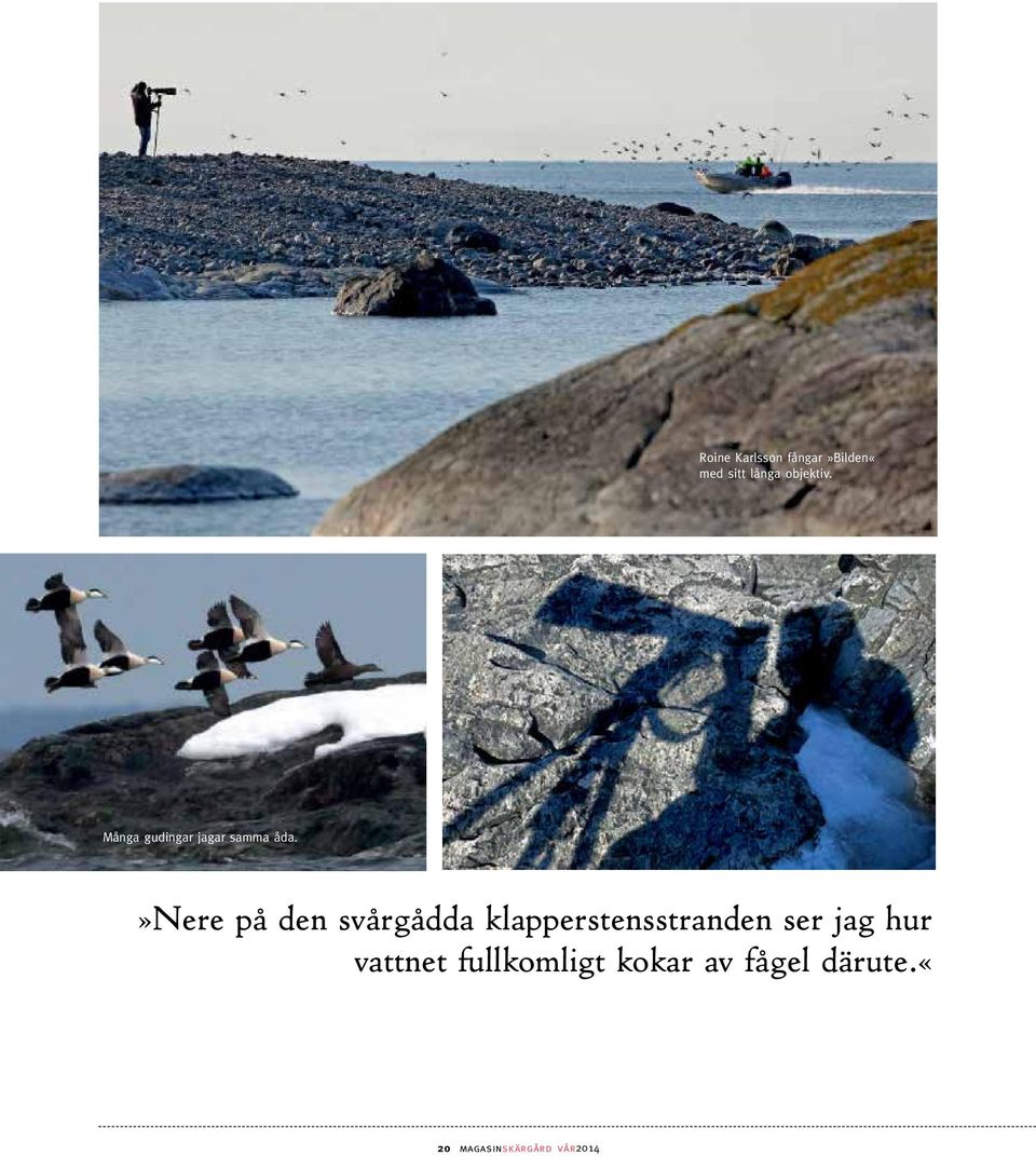 »nere på den svårgådda klapperstensstranden ser jag