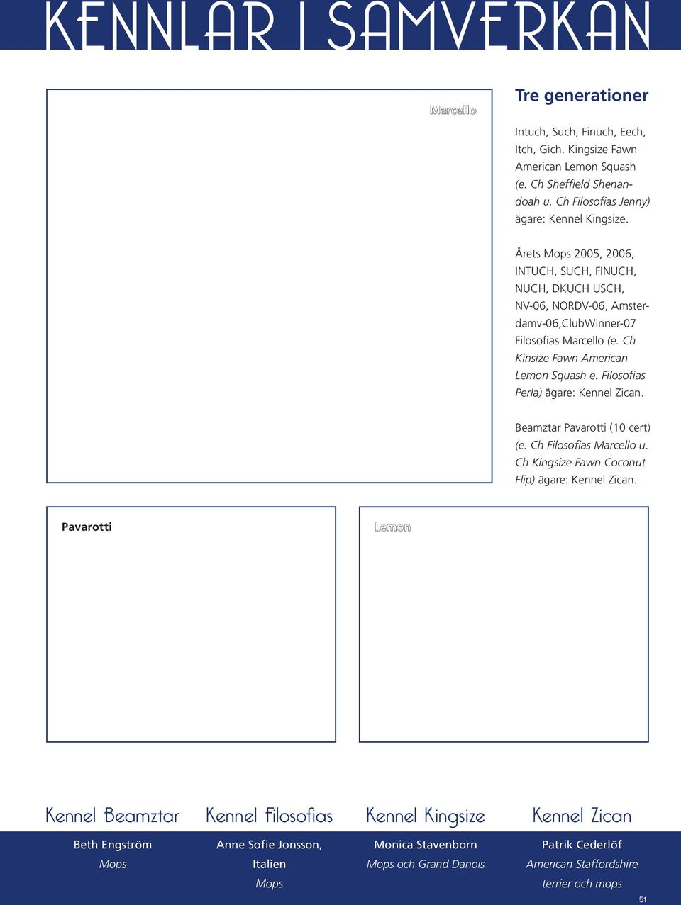 Ch Kinsize Fawn American Lemon Squash e. Filosofias Perla) ägare: Kennel Zican. Beamztar Pavarotti (10 cert) (e. Ch Filosofias Marcello u.