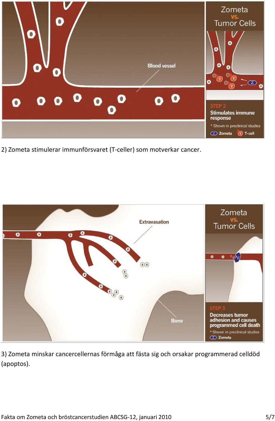 3) Zometa minskar cancercellernas förmåga att fästa sig