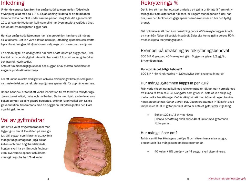 Hur stor smågrisdödlighet man har i sin produktion kan bero på många olika faktorer.