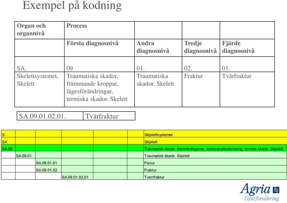 09.01.02.01. Tvärfraktur S Skjelettsystemet SA Skjelett SA.09 Traumatisk skade, fremmedlegeme, leieforandleieforaring, termisk skade.