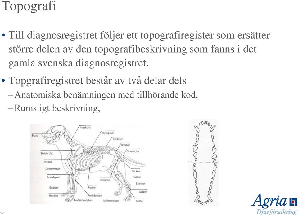 gamla svenska diagnosregistret.