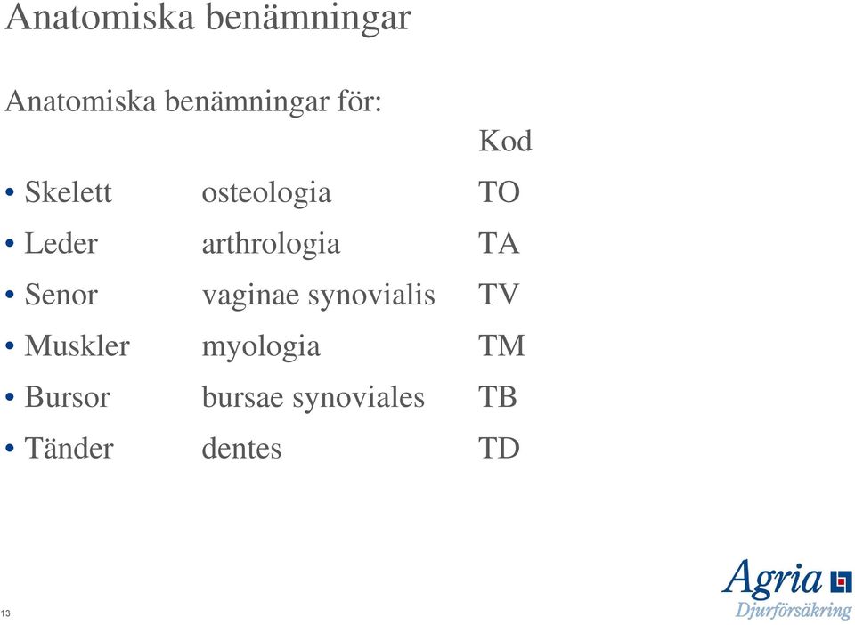 TA Senor vaginae synovialis TV Muskler myologia