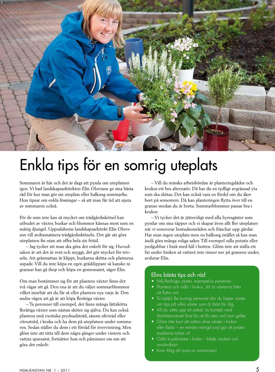 För de som inte kan så mycket om trädgårdsskötsel kan utbudet av växter, buskar och blommor kännas mest som en snårig djungel.