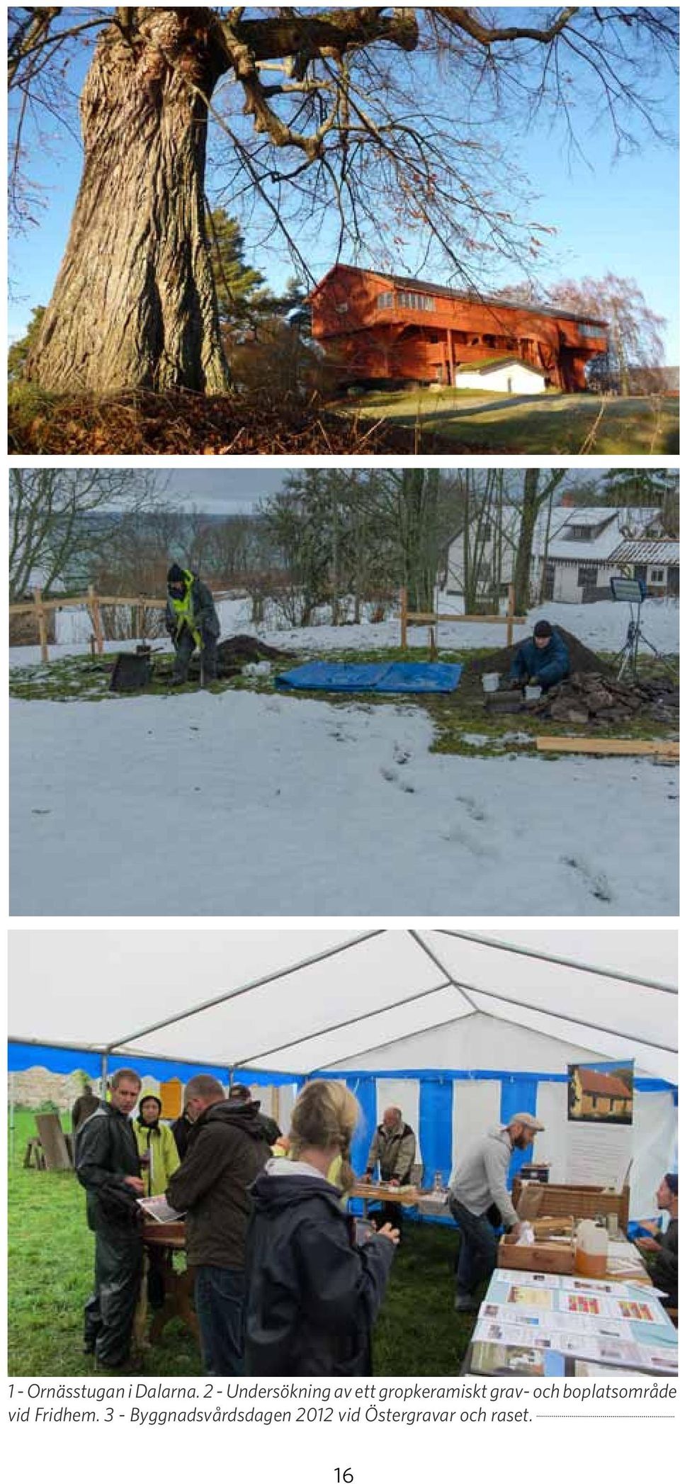 grav- och boplatsområde vid Fridhem.