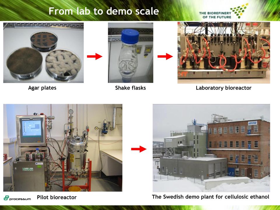 bioreactor Pilot bioreactor The