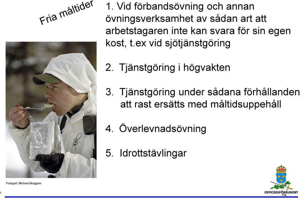 Tjänstgöring i högvakten 3.