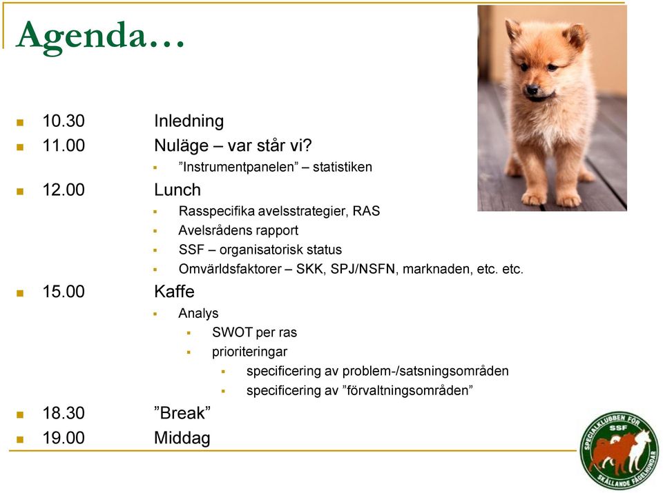 SSF organisatorisk status Omvärldsfaktorer SKK, SPJ/NSFN, marknaden, etc.