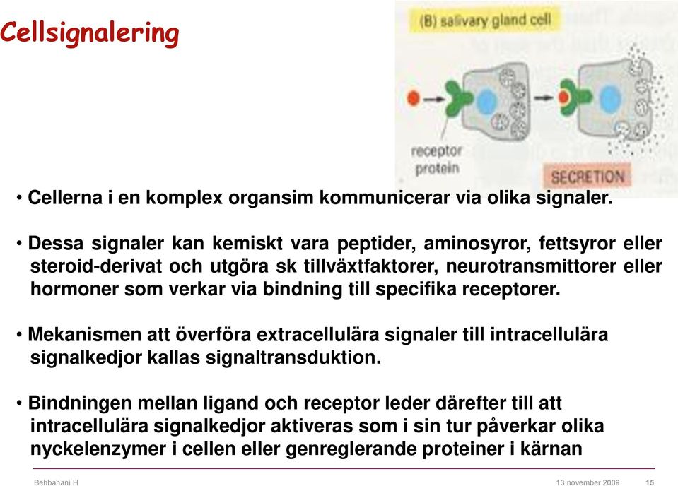 hormoner som verkar via bindning till specifika receptorer.