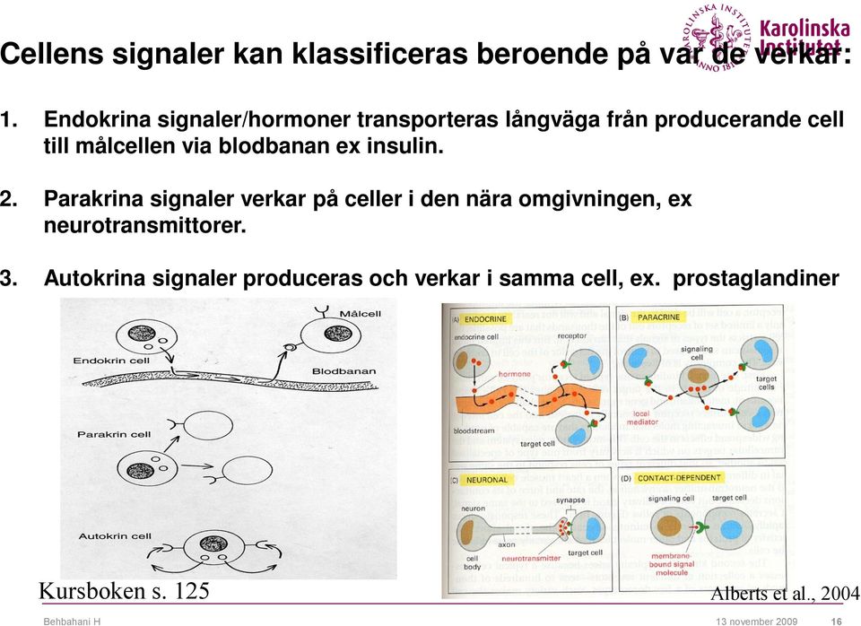 blodbanan ex insulin. 2.