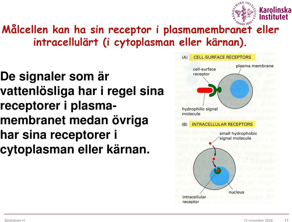 De signaler som är vattenlösliga har i regel sina receptorer