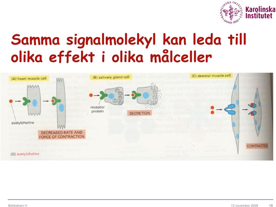 kan leda till