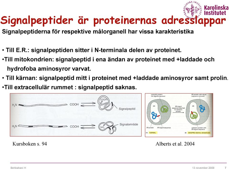 Till mitokondrien: signalpeptid i ena ändan av proteinet med +laddade och hydrofoba aminosyror varvat.