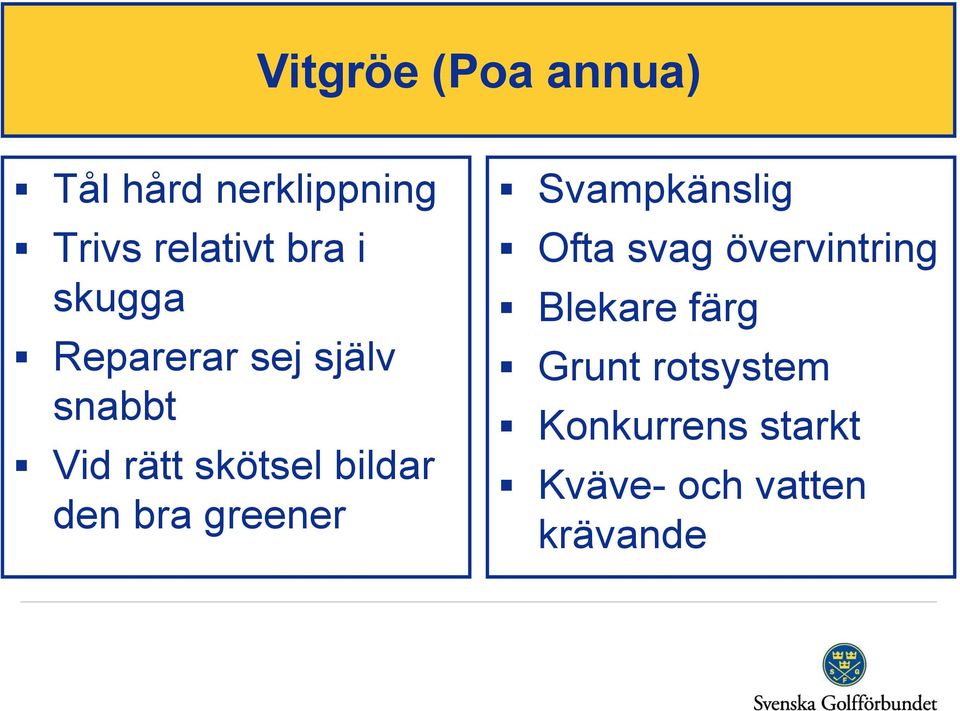 den bra greener Svampkänslig Ofta svag övervintring Blekare