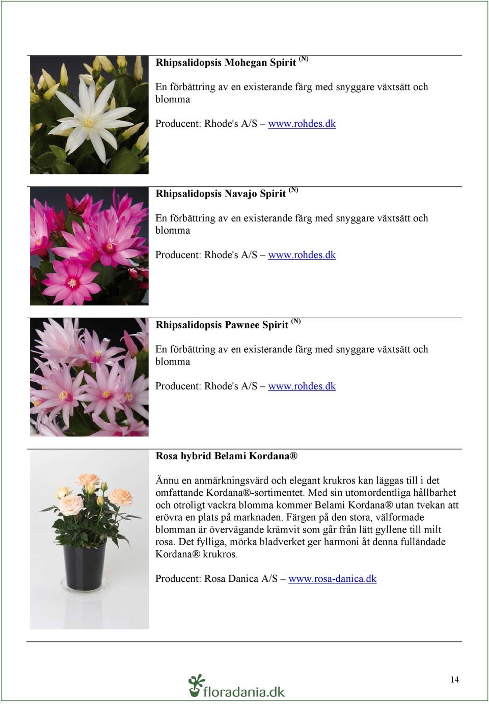 dk Rhipsalidopsis Pawnee Spirit (N) En förbättring av en existerande färg med snyggare växtsätt och blomma Producent: Rhode's A/S www.rohdes.