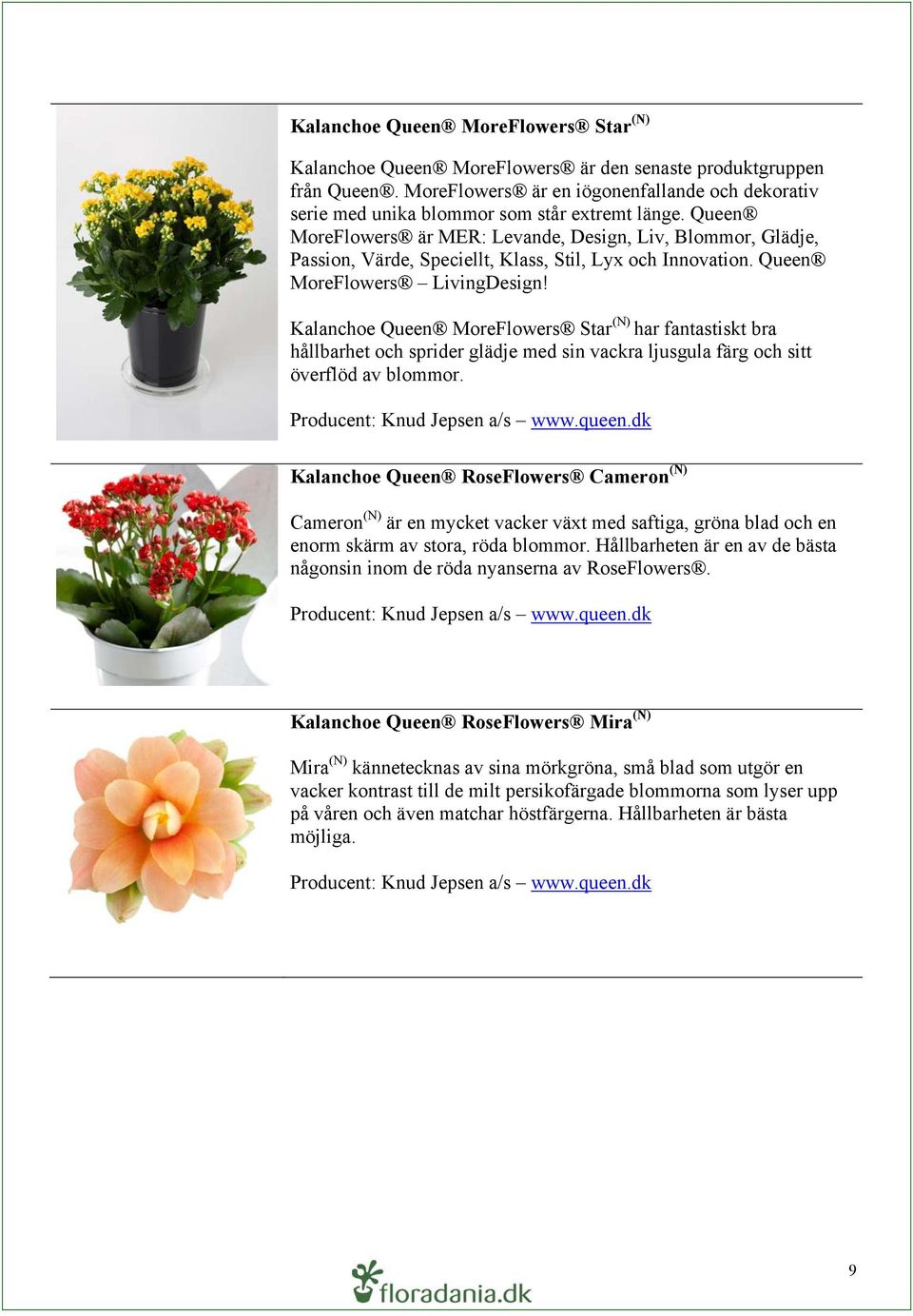 Queen MoreFlowers är MER: Levande, Design, Liv, Blommor, Glädje, Passion, Värde, Speciellt, Klass, Stil, Lyx och Innovation. Queen MoreFlowers LivingDesign!