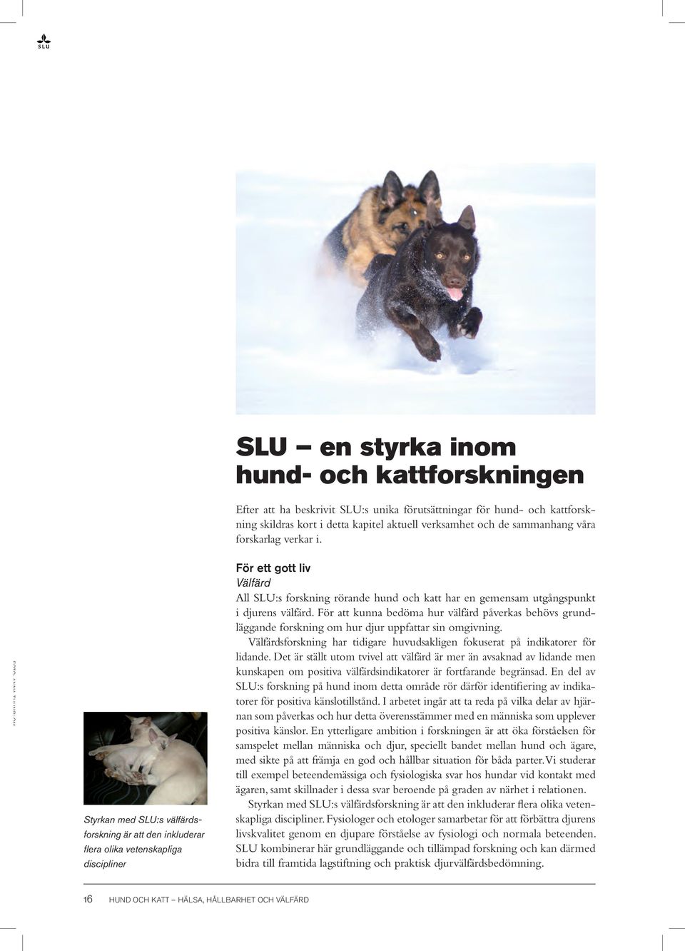 Foto: Anna Thunblom Styrkan med SLU:s välfärdsforskning är att den inkluderar flera olika vetenskapliga discipliner För ett gott liv Välfärd All SLU:s forskning rörande hund och katt har en gemensam