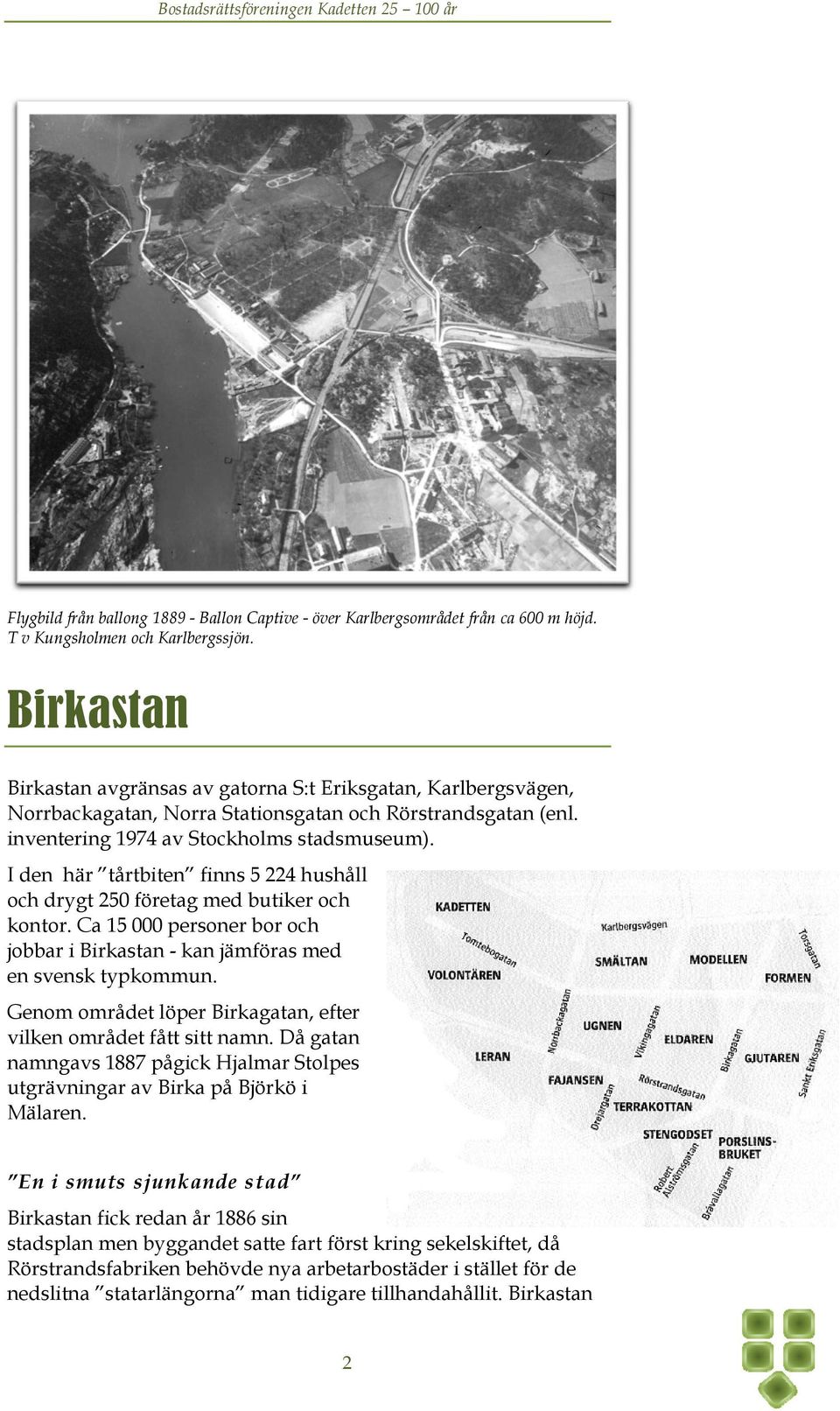 I den här tårtbiten finns 5 224 hushåll och drygt 250 företag med butiker och kontor. Ca 15 000 personer bor och jobbar i Birkastan - kan jämföras med en svensk typkommun.