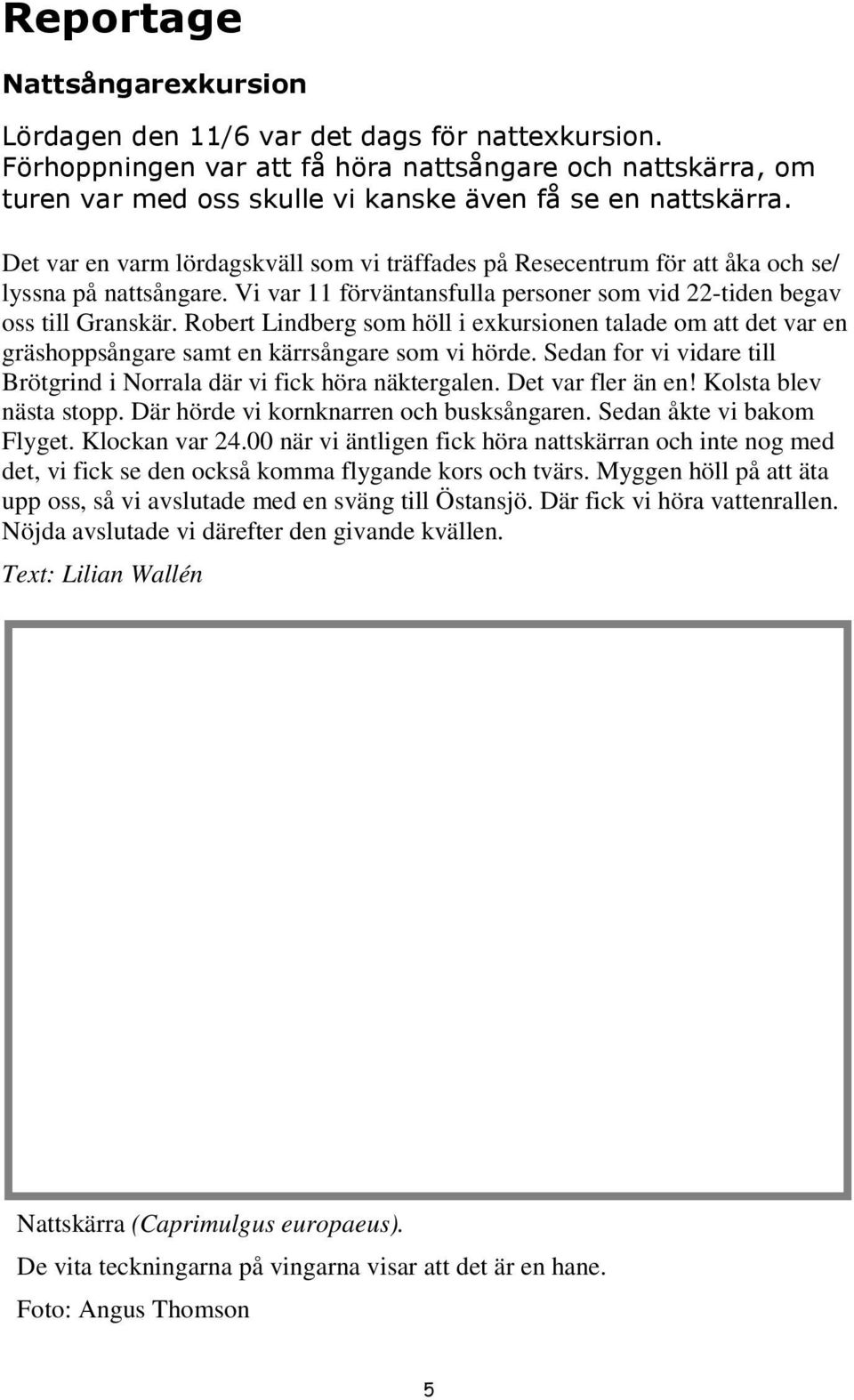 Det var en varm lördagskväll som vi träffades på Resecentrum för att åka och se/ lyssna på nattsångare. Vi var 11 förväntansfulla personer som vid 22-tiden begav oss till Granskär.