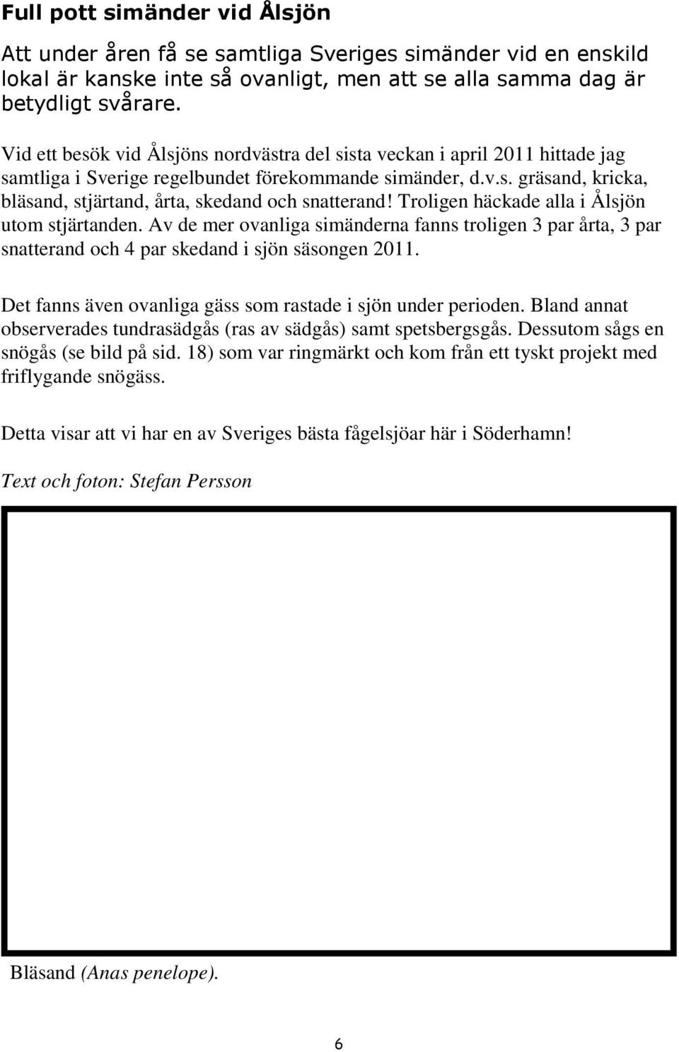 Troligen häckade alla i Ålsjön utom stjärtanden. Av de mer ovanliga simänderna fanns troligen 3 par årta, 3 par snatterand och 4 par skedand i sjön säsongen 2011.