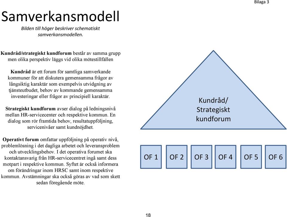 långsiktig karaktär som exempelvis utvidgning av tjänsteutbudet, behov av kommande gemensamma investeringar eller frågor av principiell karaktär.