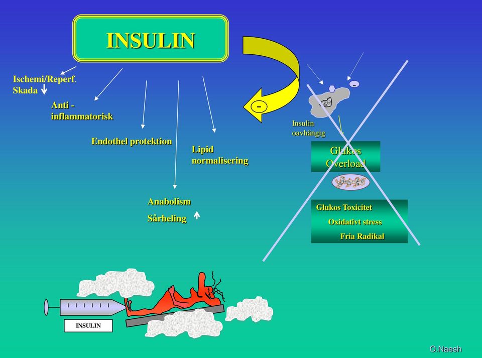 Lipid normalisering - Insulin oavhängig - Glukos