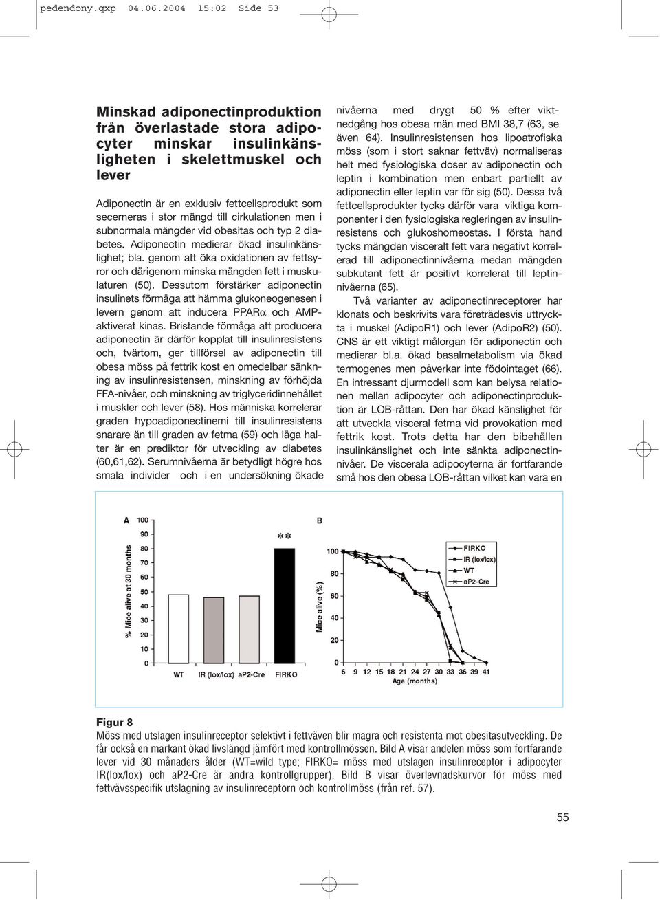 stor mängd till cirkulationen men i subnormala mängder vid obesitas och typ 2 diabetes. Adiponectin medierar ökad insulinkänslighet; bla.