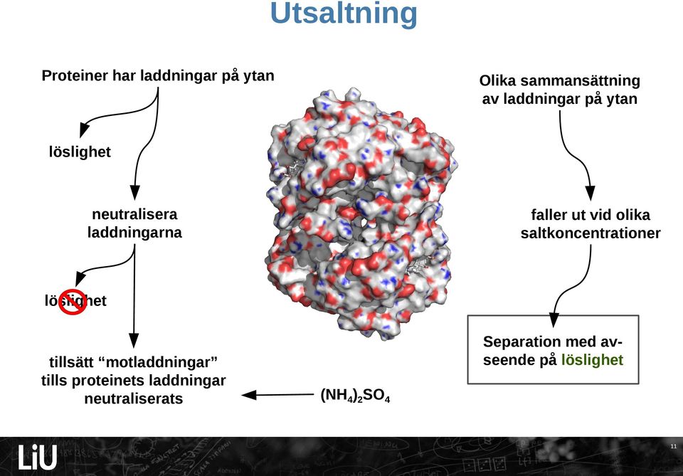 olika saltkoncentrationer löslighet tillsätt motladdningar tills