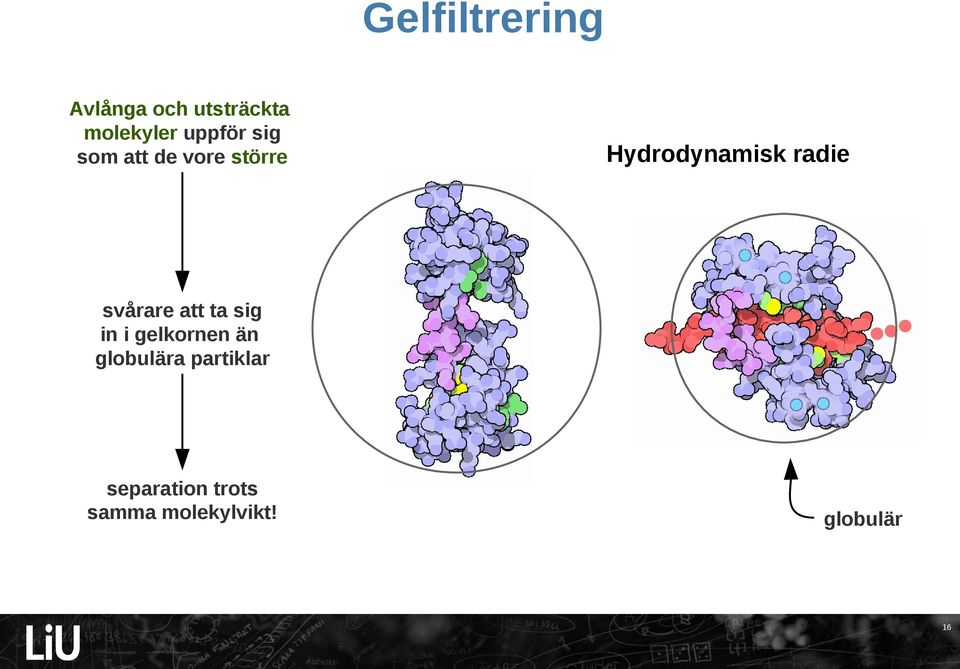 radie svårare att ta sig in i gelkornen än