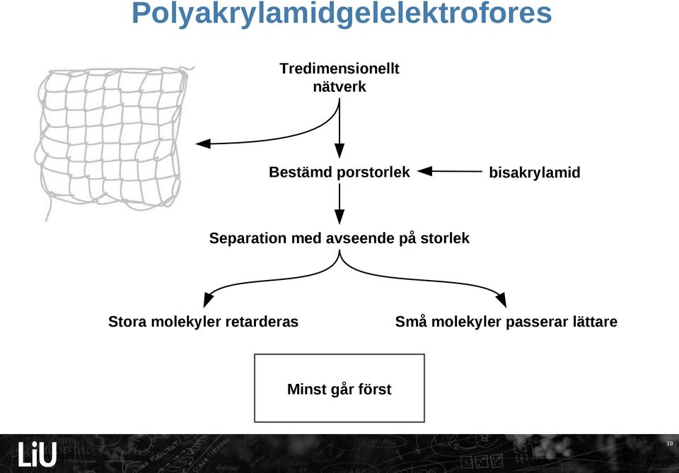 Separation med avseende på storlek Stora