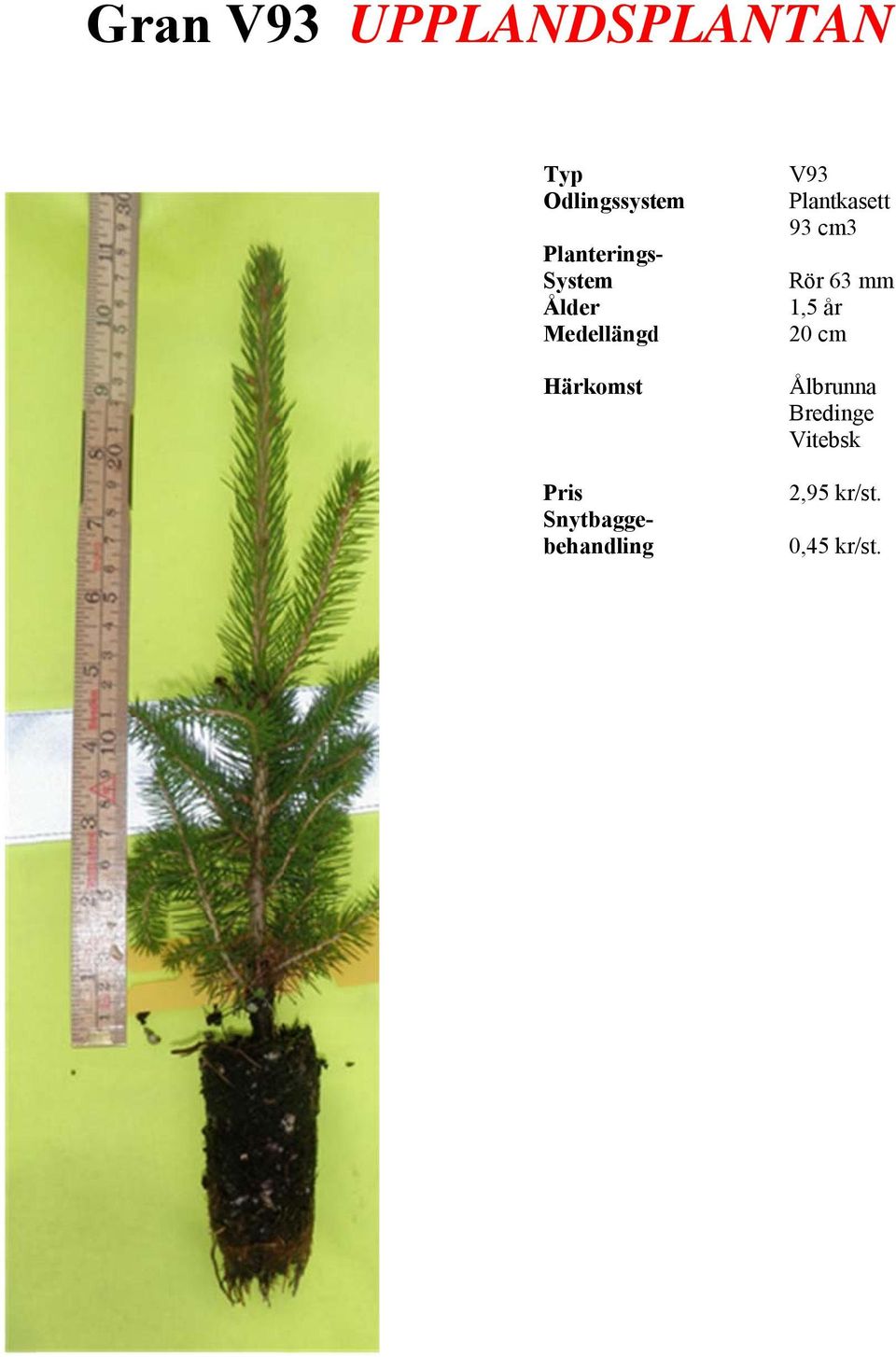 V93 Plantkasett 93 cm3 Rör 63 mm 1,5 år 20