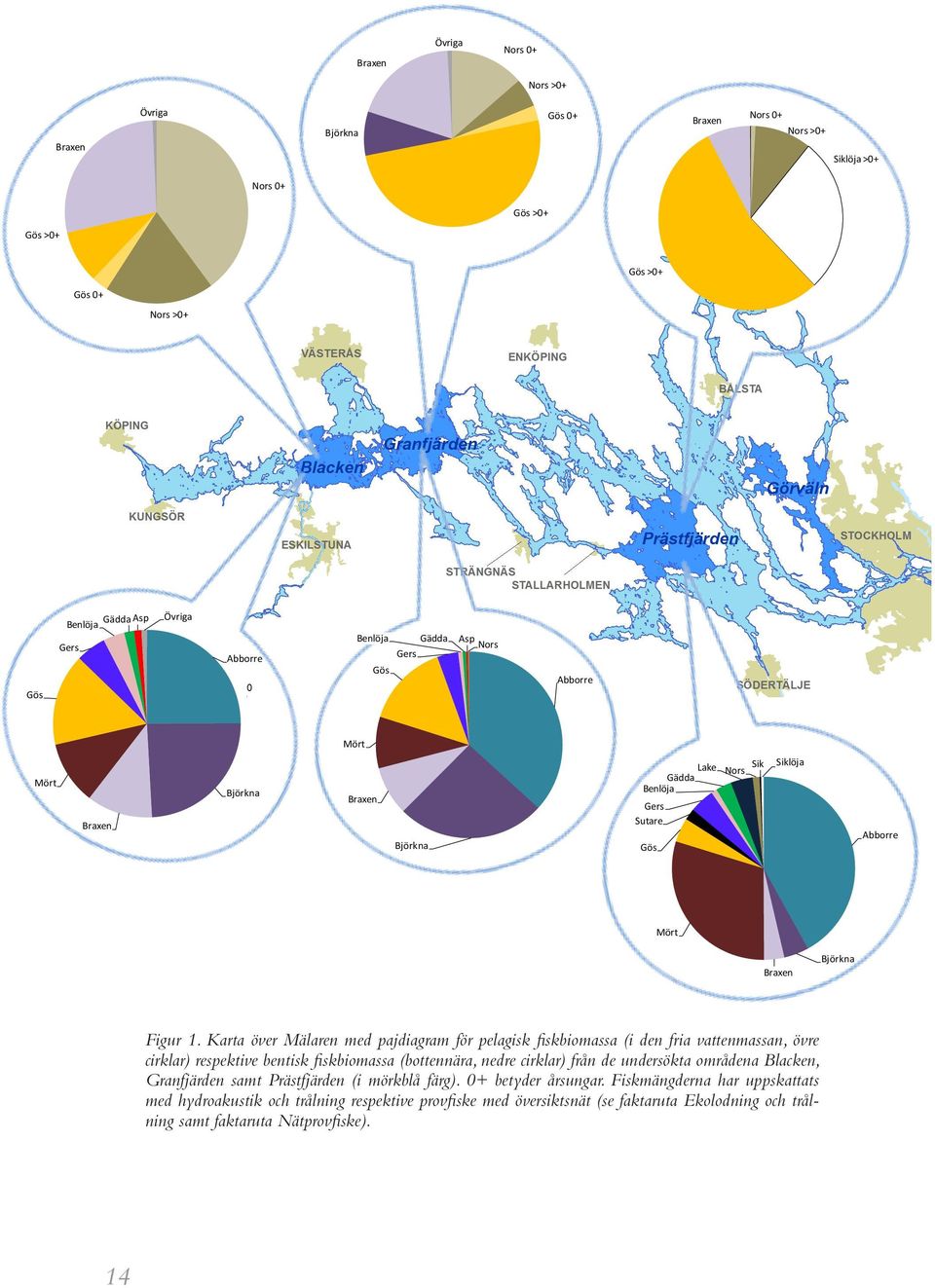 Karta över Mälaren med pajdiagram för pelagisk fiskbiomassa (i den fria vattenmassan, övre cirklar) respektive bentisk fiskbiomassa (bottennära, nedre cirklar) från de undersökta områdena Blacken,