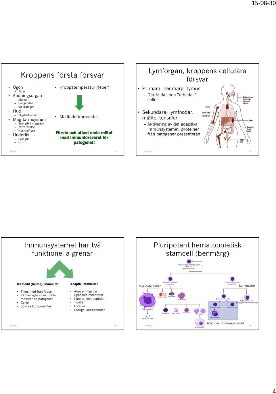 proteiner från patogener presenteras 13 14 Immunsystemet har två funktionella grenar Pluripotent hematopoietisk stamcell (benmärg) Medfödd (Innate) immunitet Finns med från födsel Känner igen