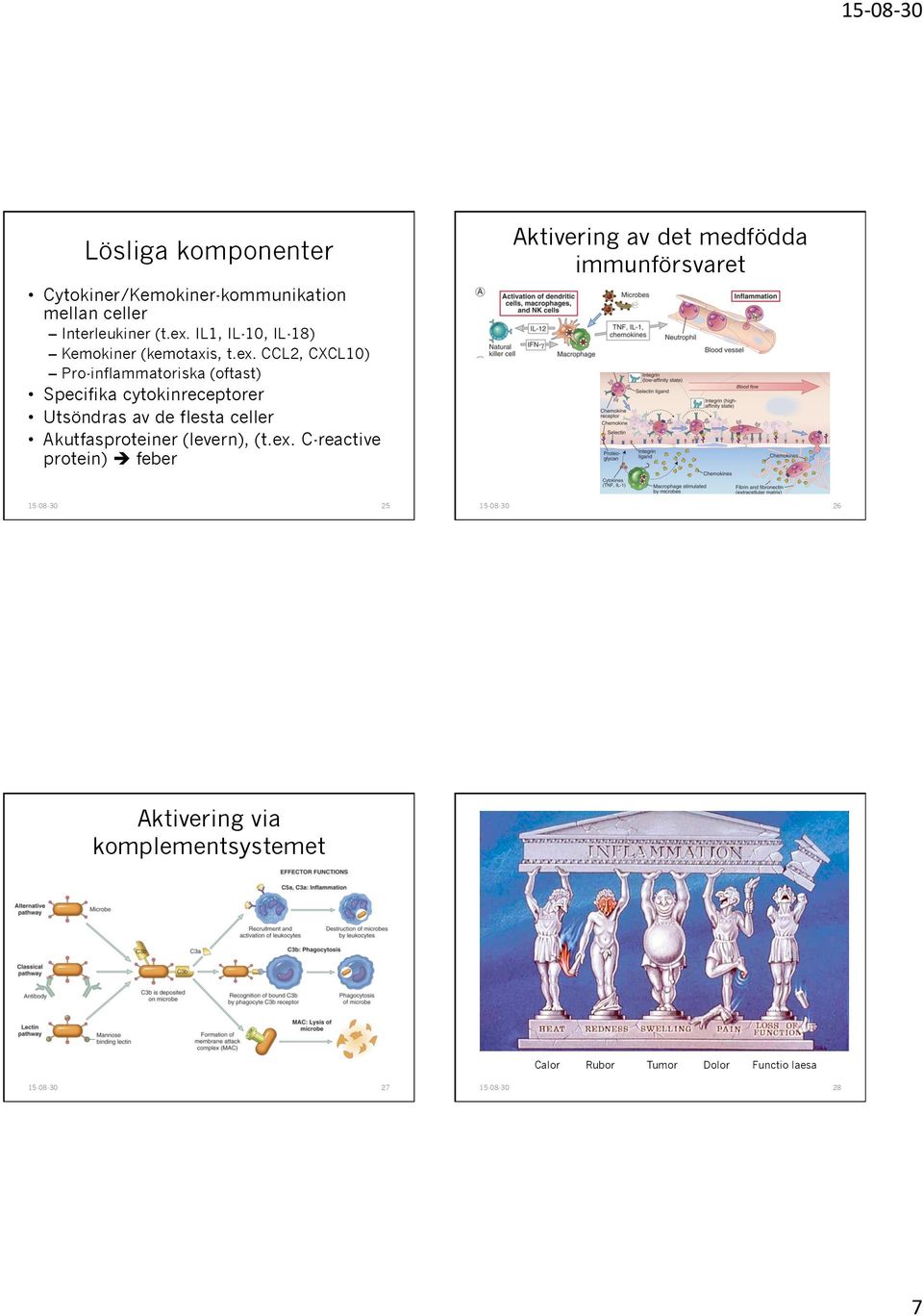 IL1, IL-10, IL-18) Kemokiner (kemotaxis, t.ex.
