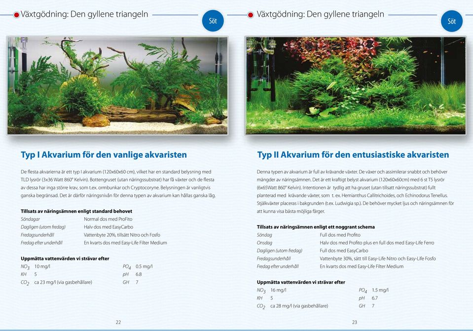 ex. ormbunkar och Cryptocoryne. Belysningen är vanligtvis ganska begränsad. Det är därför näringsnivån för denna typen av akvarium kan hållas ganska låg.