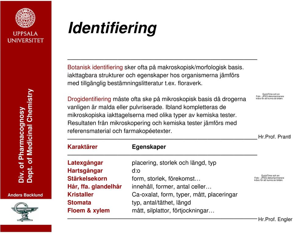 Resultaten från mikroskopering och kemiska tester jämförs med referensmaterial och farmakopéetexter. QuickTime och en Foto - JPEG-dekomprimerare krävs för att kunna se bilden. Hr.Prof.