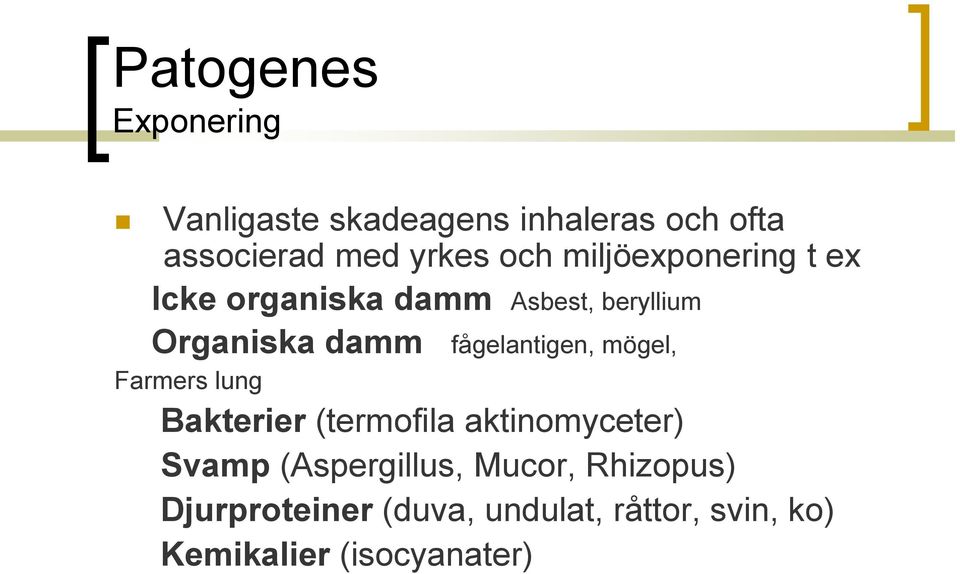 fågelantigen, mögel, Farmers lung Bakterier (termofila aktinomyceter) Svamp