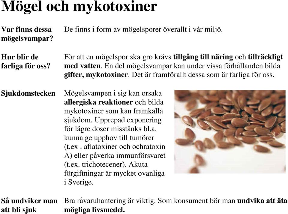 Det är framförallt dessa som är farliga för oss. Mögelsvampen i sig kan orsaka allergiska reaktioner och bilda mykotoxiner som kan framkalla sjukdom.