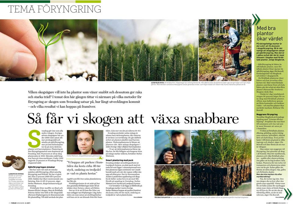 I temat den här gången tittar vi närmare på vilka metoder för föryngring av skogen som Sveaskog satsar på, hur långt utvecklingen kommit och vilka resultat vi kan hoppas på framöver.