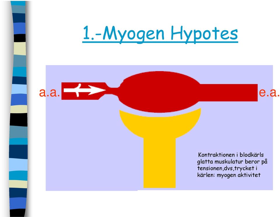 blodkärls glatta muskulatur