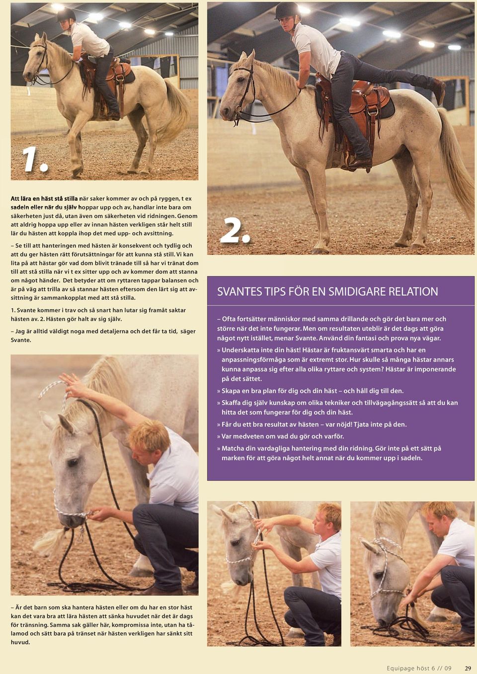 Se till att hanteringen med hästen är konsekvent och tydlig och att du ger hästen rätt förutsättningar för att kunna stå still.