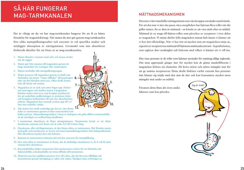 Livsmedel som inte absorberas förbereds därefter för att föras ut ur mag-tarmkanalen. 1. 1. Maten blandas i munnen med saliv och mosas sönder när du tuggar. 2.