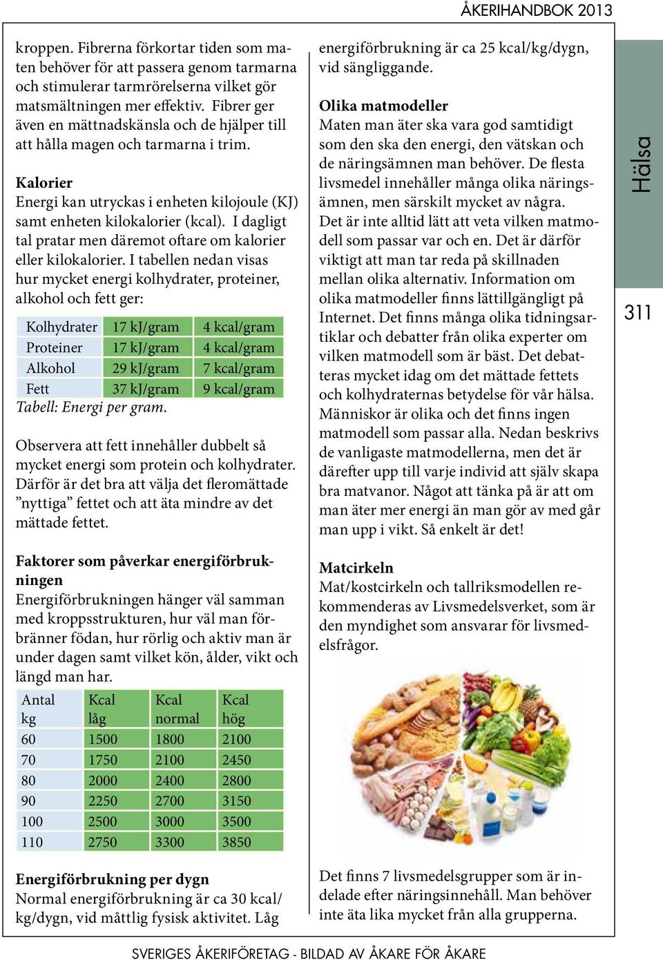 I dagligt tal pratar men däremot oftare om kalorier eller kilokalorier.