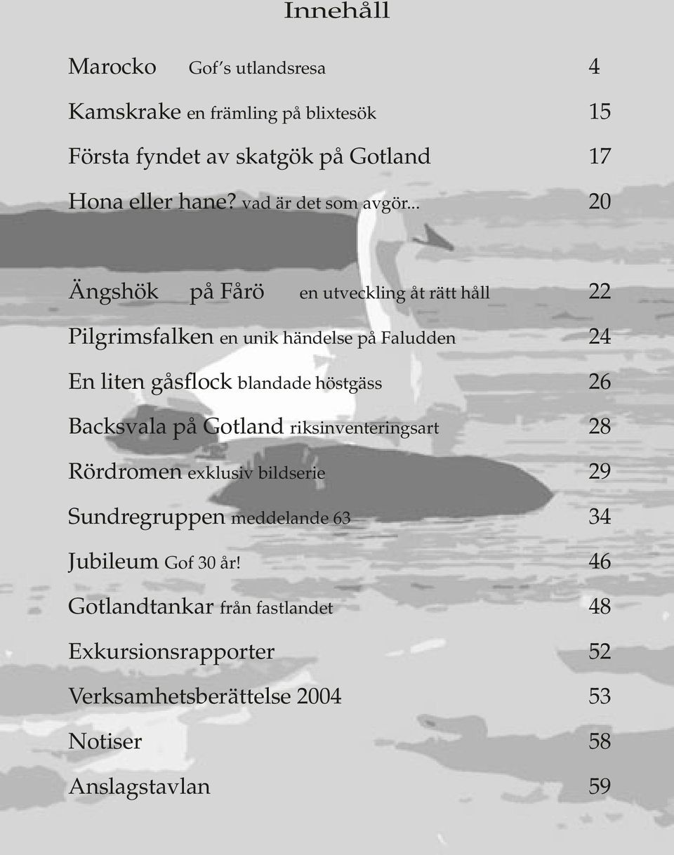 .. 20 Ängshök på Fårö en utveckling åt rätt håll 22 Pilgrimsfalken en unik händelse på Faludden 24 En liten gåsflock blandade