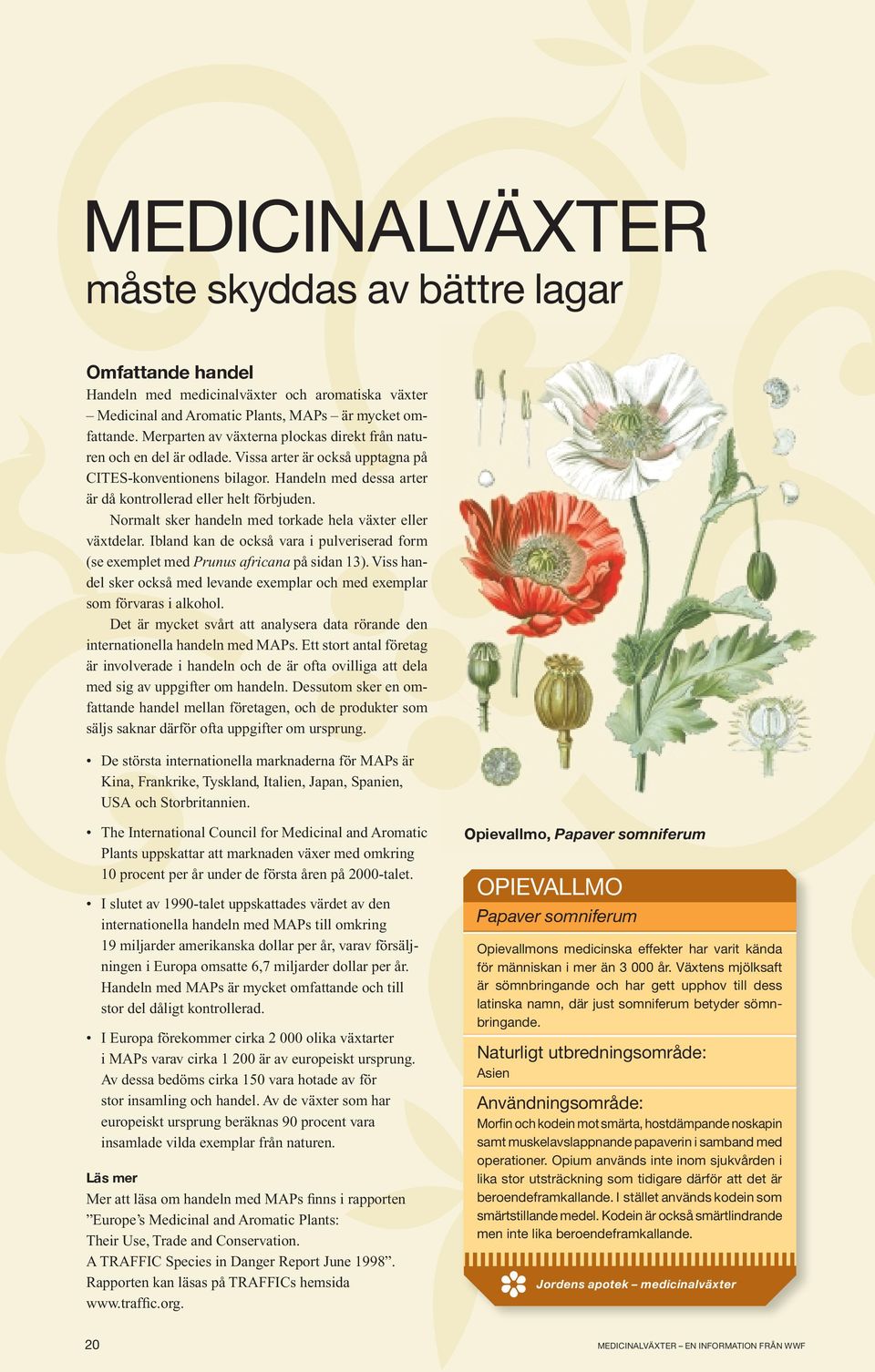 Normalt sker handeln med torkade hela växter eller växtdelar. Ibland kan de också vara i pulveriserad form (se exemplet med Prunus africana på sidan 13).