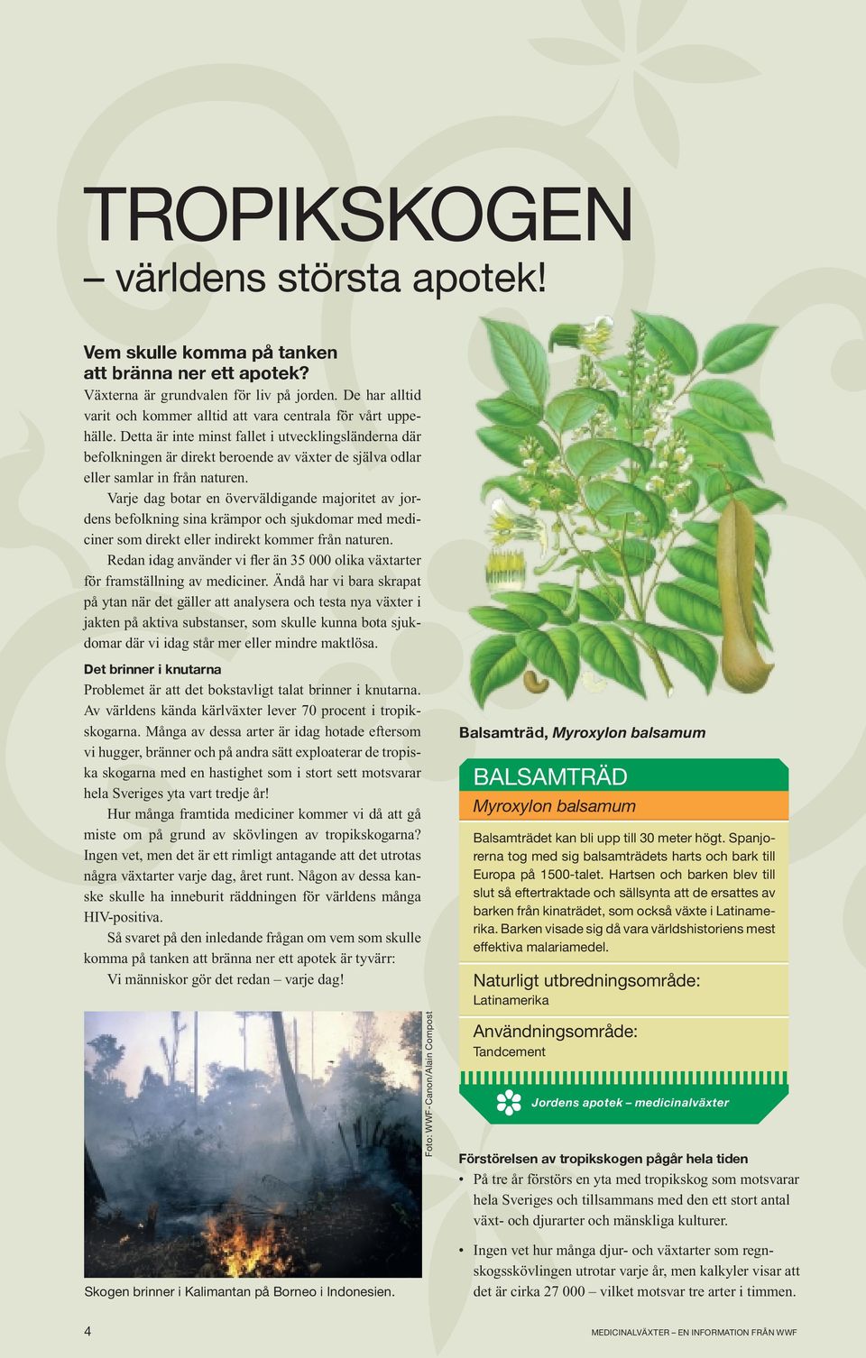 Detta är inte minst fallet i utvecklingsländerna där befolkningen är direkt beroende av växter de själva odlar eller samlar in från naturen.