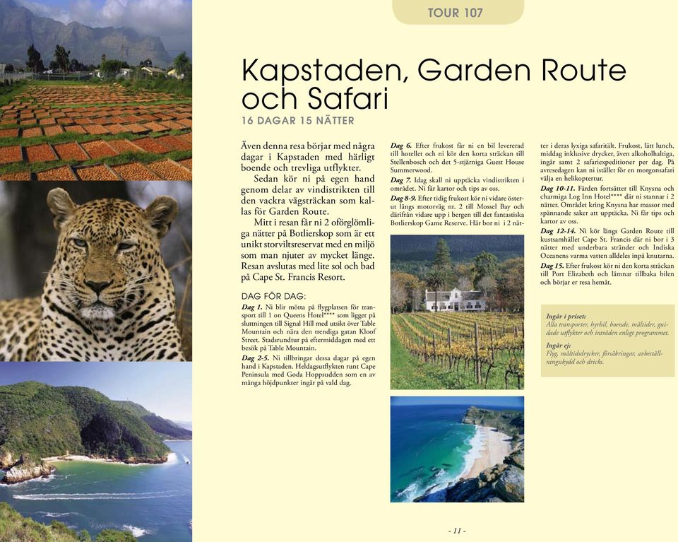 Mitt i resan får ni 2 oförglömliga nätter på Botlierskop som är ett unikt storviltsreservat med en miljö som man njuter av mycket länge. Resan avslutas med lite sol och bad på Cape St. Francis Resort.