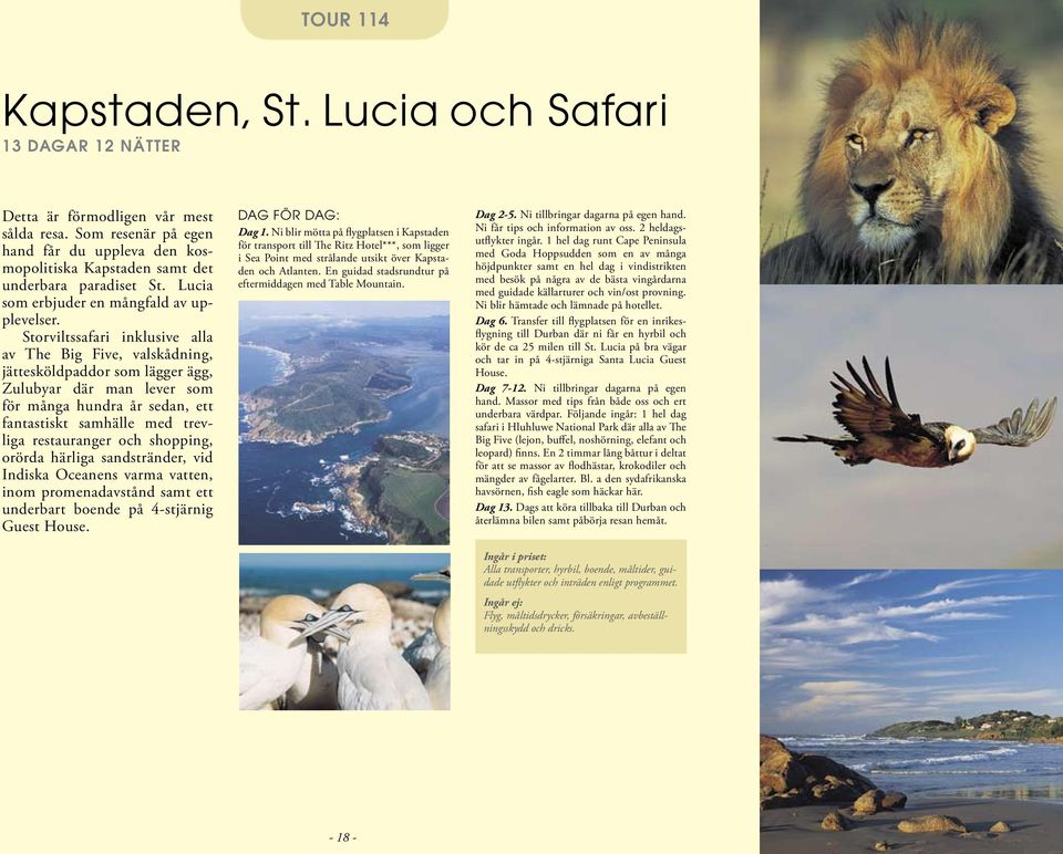 Storviltssafari inklusive alla av The Big Five, valskådning, jättesköldpaddor som lägger ägg, Zulubyar där man lever som för många hundra år sedan, ett fantastiskt samhälle med trevliga restauranger