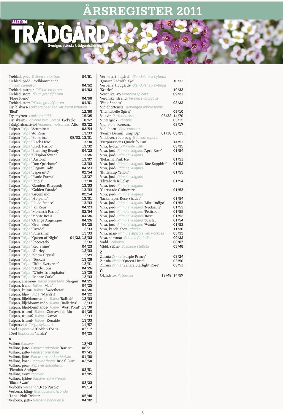 kamtschatica Blod 12/60 Try, myrten- Lonicera nitida 15/25 Try, skärm- Lonicera involucrata Lycksele 10/67 Trädgårdsnattviol Hesperis matronalis Alba 03/22 Tulpan Tulipa Acuminata 02/54 Tulpan Tulipa