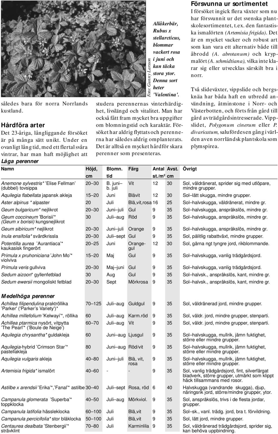 Denna sort heter 'Valentina'. studera perennernas vinterhärdighet, livslängd och vitalitet. Man har också fått fram mycket bra uppgifter om blomningstid och karaktär.